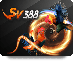 Hướng Dẫn Nhận Biết Kèo Bóng Đá VIP 188BET Chính Xác